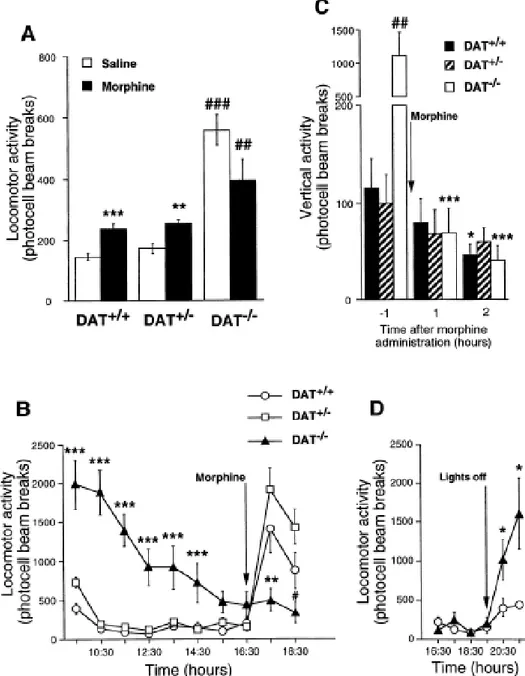 Figure  2.  Effect  of  acute  morphine  administration  on  locomotor  activity  in  DAT+/+,  DAT+/-  and DAT-/- mice