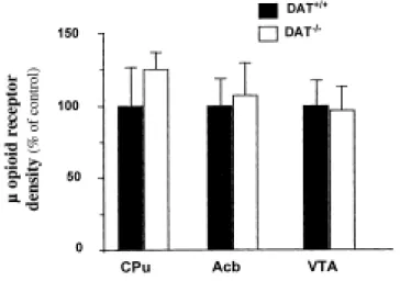 Figure  7.  µ opioid receptor autoradiography in the brain  of  DAT+/+  and  DAT-/-  mice
