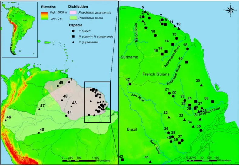 Fig 1. Locations of Proechimys cuvieri and Proechimys guyannensis. Distribution of the species are identified in light green for P