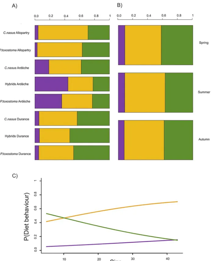 Fig 3. Influence of group, environment, season and size on feeding behaviour. Distribution of the three classes of feeding behaviour (invertebrate eaters in purple, omnivores in orange and diatom eaters in deep green)