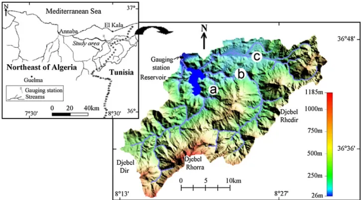 Figure 1. Location map of the El Kebir catchment and drainage network presentation. (a) Bougous River, (b) Ballauta River and (c) Teboul River.