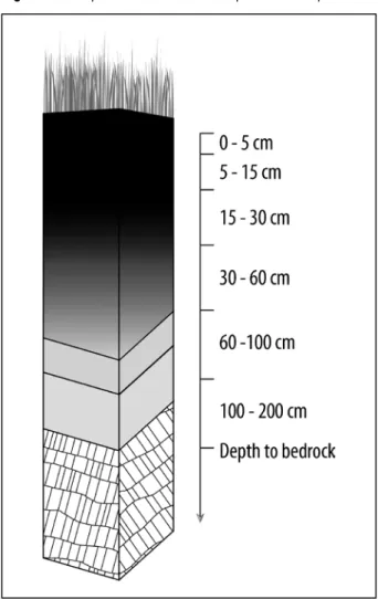 Figure 2 - Profil de sol et profondeurs standard de  GlobalSoilMap.