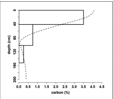 figure 3 - A soil carbon profile and the spline  depth function.