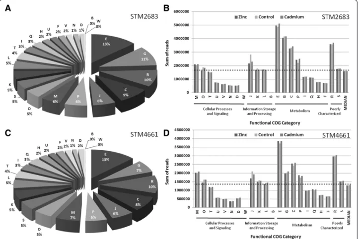 Figure 3 Functional composition of the transcriptomes. The proportions and absolute amounts of reads for CDS after COG class assignment are shown for strains STM 2683 (A and B) and STM 4661 (C and D)