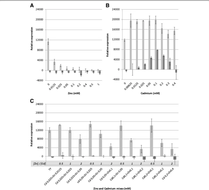 Figure 6 Effect of zinc and cadmium on the transcriptional activitiy of znuC. The effect of increasing concentrations of Zinc (A), Cadmium (B) or mixes of the two metals (C) on the expression of znuC using a promoter-PROBE reporter system is shown for STM 