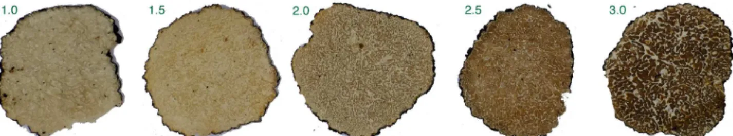 Fig 2. Thin sections of five individual T. aestivum fruit bodies from Hungary (2014 Aug 12–14), which provide a visual proof of concept that macro-morphological gleba characteristics (color and structure) can be used to distinguish the five maturation clas