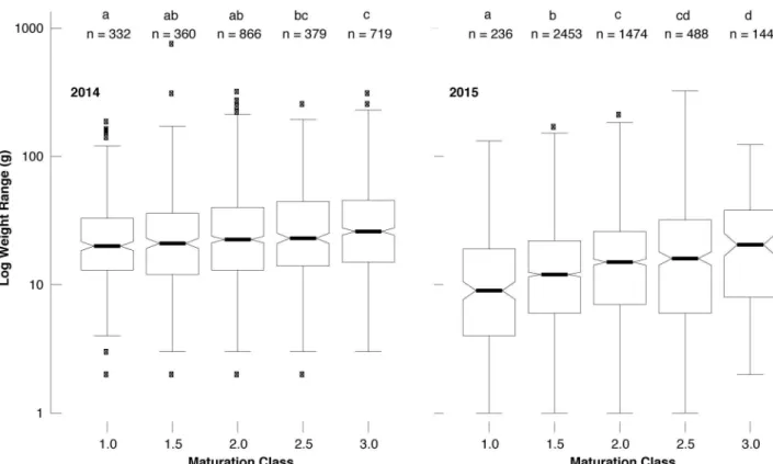 Fig 5. Boxplots and Tukey HSD post-hoc test showing the differences of the individual truffle weights (gram per fruit body at logarithmic scale) between the five maturation classes (1.0, 1.5, 2.0, 2.5, 3.0) in 2014 and 2015 (left and right side)