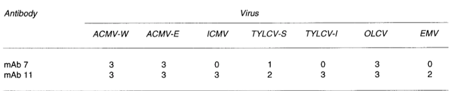 Table I  indicates the reactions obtained in  indirect DAS-ELISA when mAbs  7  and  11  were  tested