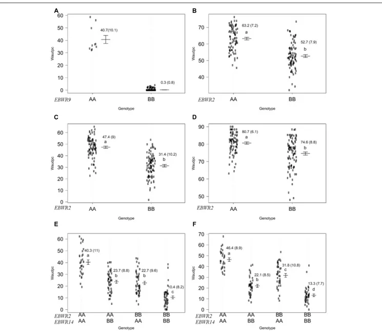 FIGURE 4 | Phenotypic distribution of genotypes at three eggplant bacterial wilt resistance QTLs for the Waudpc variable