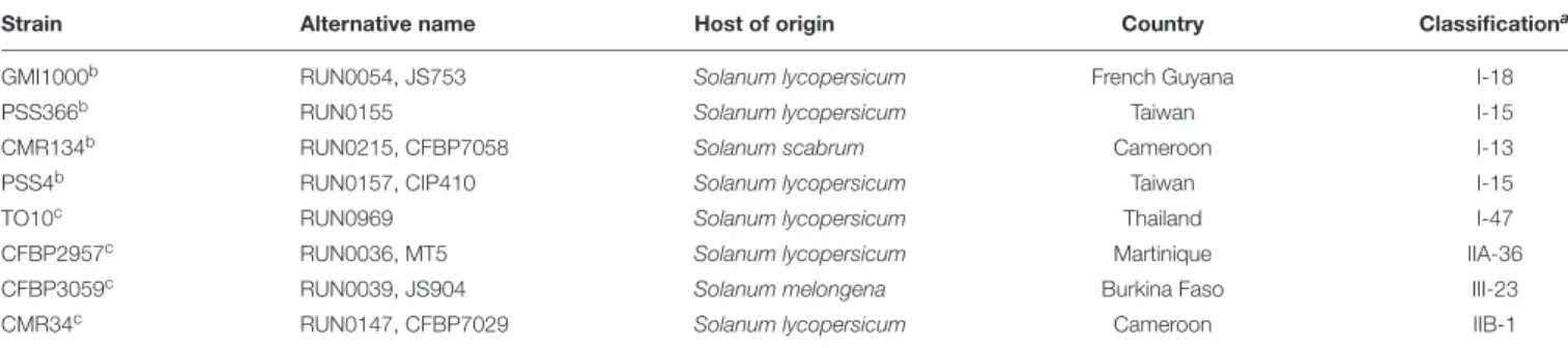 TABLE 1 | Description of the eight R. solanacearum species complex strains used for phenotyping the eggplant [MM738 × AG91-25] RIL population.