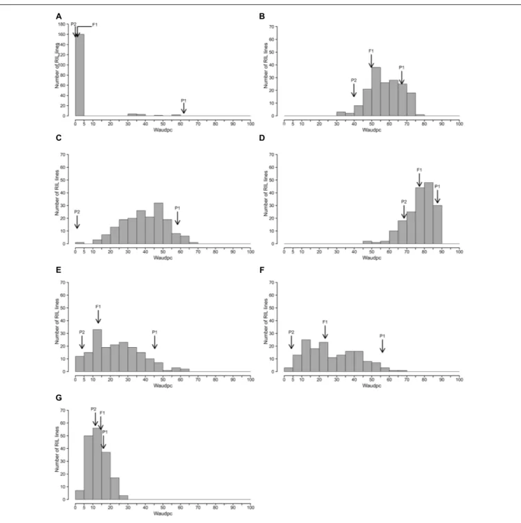FIGURE 2 | Frequency distributions of Waudpc in the eggplant [MM738 × AG91-25] RIL population, inoculated with eight R