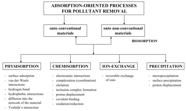 Fig. 5    Classification of pollutant adsorption mechanisms according to Crini (2005, 2006) and Crini and Badot (2007)