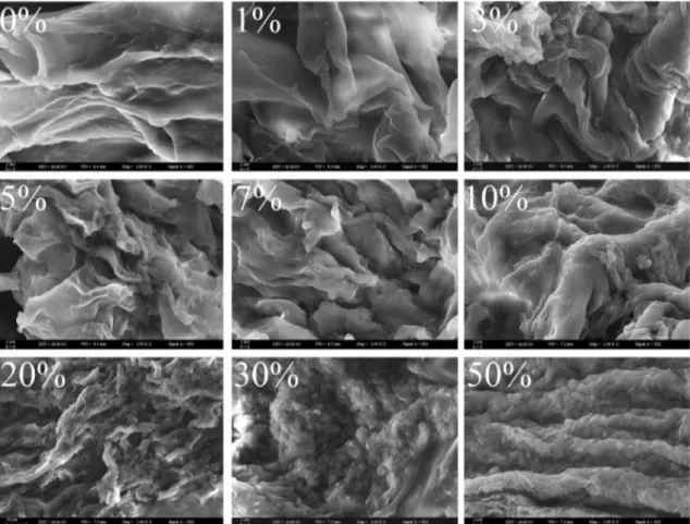 Fig. 9    Scanning electron microscope (SEM) photographs of chitosan- chitosan-poly(vinyl alcohol)/bentonite adsorbent with different bentonite  contents, surfaces of chitosan-poly(vinyl alcohol)/bentonite become  looser and more porous than that of chitos