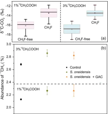 Fig. 6. Abundance of 13 CO 2 and 13 CH 4 with the application of 1% and 3%