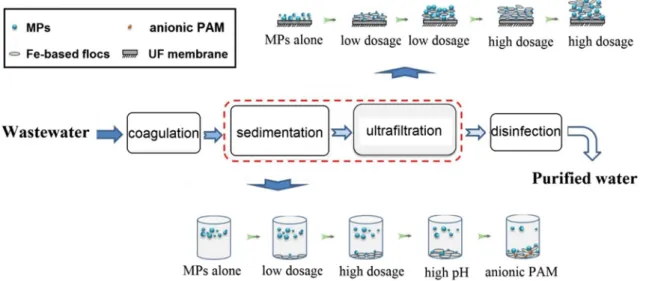 Fig. 5    Removal of polyethylene microplastics from the wastewater  using   Fe 3+  coagulation, sedimentation and ultrafiltration processes  (Ma et  al