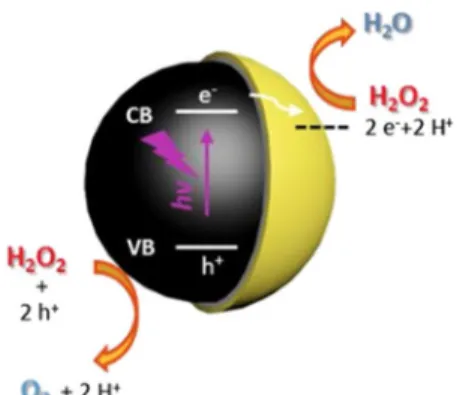 Fig. 10    Photocatalytic removal  of polystyrene microplastics in  water by a Au–Ni–TiO 2   micro-motor (Wang et al