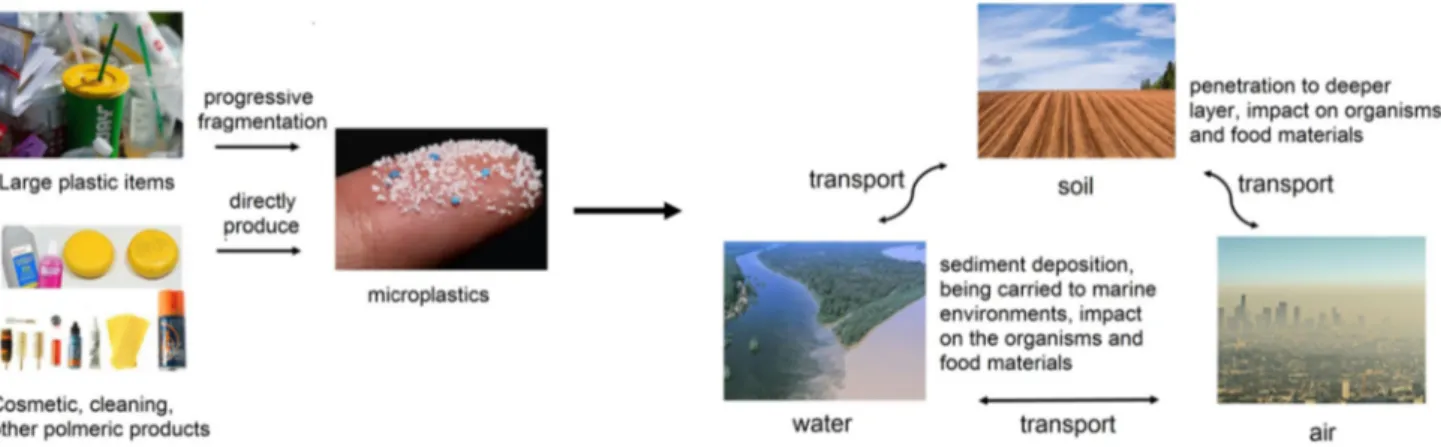 Fig. 1    Microplastics sources, transformation and transport