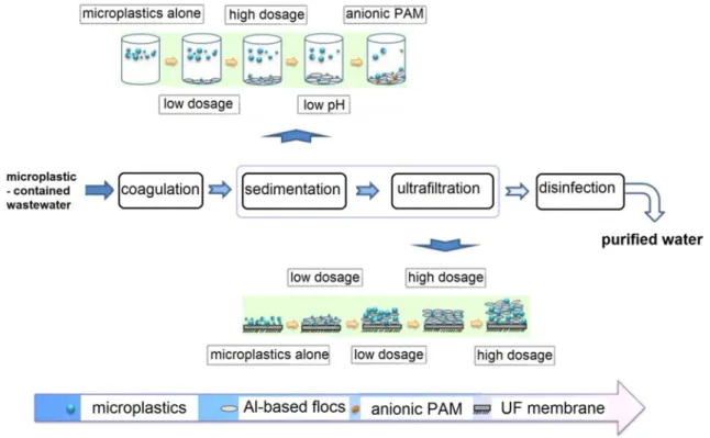 Fig. 4    Microplastic removal by coagulation, sedimentation and ultrafiltration  (UF) (Ma et  al
