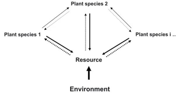 Figure 4. Interaction between plants for resources (from Grace and Tilman, 1990). In this context, plants have an e ﬀ ect on the abundance of a resource and other plants respond to the change