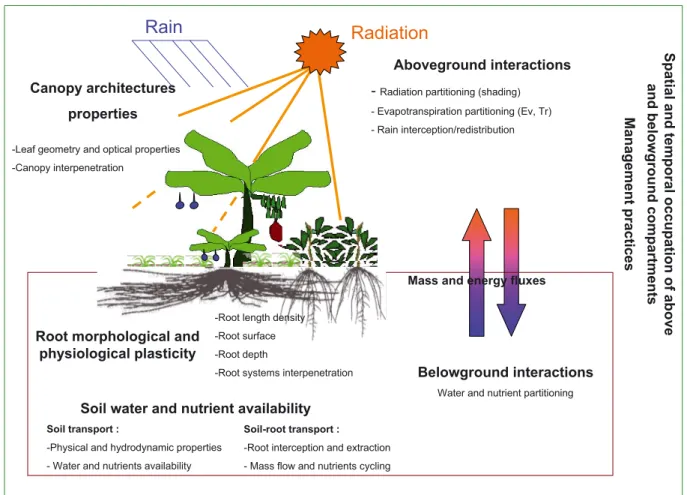 Figure 5. Above and belowground competition for resources in multispecies systems. The functionning of such systems is not only conditioned by the availability of environment resources but also by the ability of the component species to share them.