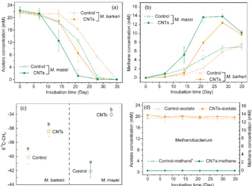 Fig. 1. Methanogenesis in pure cultures of Methanosarcina species on acetate substrate with carbon nanotubes (CNTs)