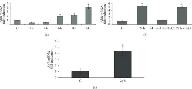Figure 5: Effect of 8 h exposure to conditioned media from 100 nM PMA-treated Caco-2 cells on AhR mRNA levels (a)