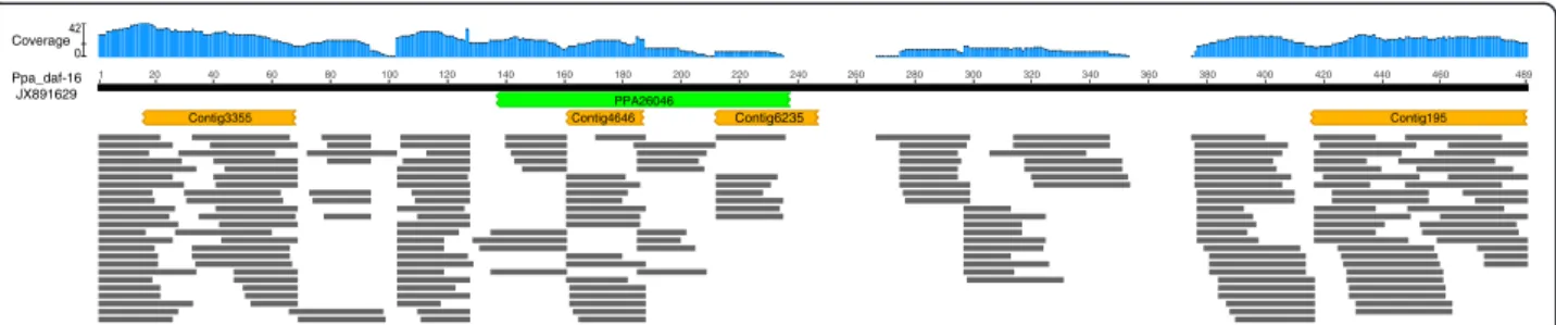 Fig. 3 Absence of P. pacificus daf-16 from assembled genome. The protein sequence encoded by P