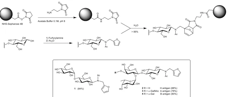 Figure  1.  IR  spectrum  of  modified  Sepharose  in  the  carbonyl  region:  A)  Sepharose,  B)  Maltose-modified  Sepharose,  C)  Maleimide-activated  Sepharose, D) NHS-activated Sepharose