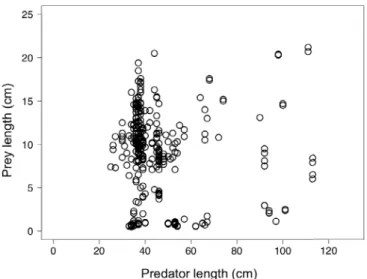 Fig. 4. Relationships between d 13 C values (left) or d 15 N values (right) (‰) and total length (TL, cm) in meagre collected in 2010 for SIA (N = 21) and presenting a wide range of individual sizes