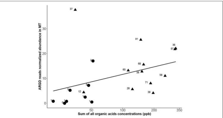FIGURE 5 | Antibiotic resistance genes (ARGD) transcription annotated from the metatranscriptome datasets (MT) vs