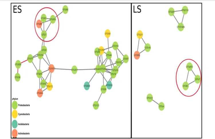 FIGURE 2 | Co-variance networks built from the OTU normalized counts from early spring (ES) and late spring (LS)