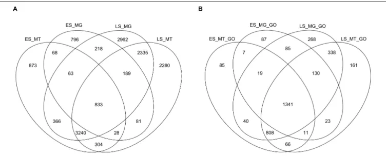 FIGURE 3 | Venn diagrams displaying the functional overlap from the metagenomes (MG) and the metatranscriptomes (MT) from the early spring (ES) and the late spring (LS) periods based on two different levels of annotations (using EGGNOG-mapper) retrieved us