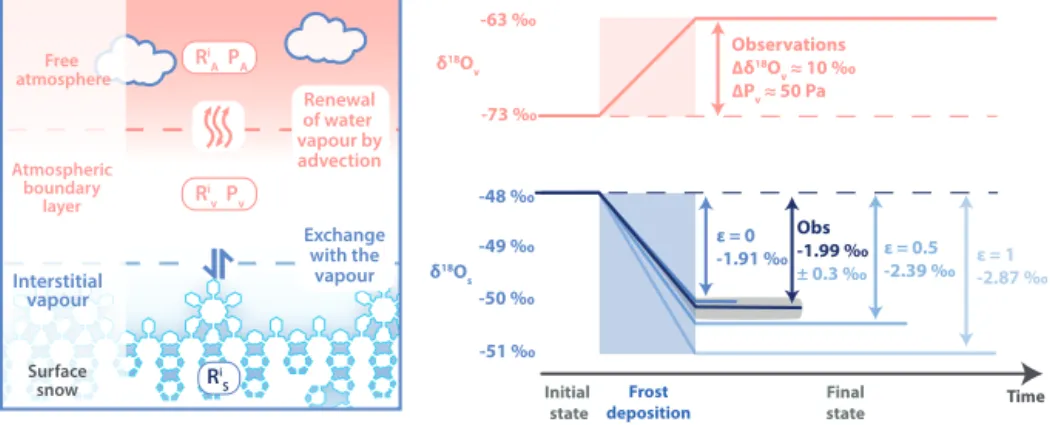 Figure 6. Schematic of the thermodynamic model to visualise exchanges between snow and vapour during condensation: the snow exchange with the vapour through equilibrium fractionation at the phase transition and the atmospheric vapour in the atmospheric bou