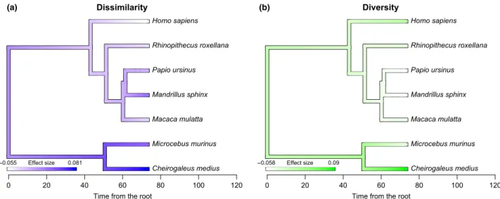 Fig. 2 Phylogenetic heritability of effect sizes for MHC-dissimilar and MHC-diverse mating patterns