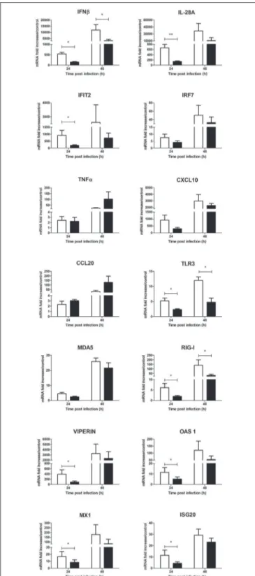 FIGURE 8 | Effect of 0.5 µg/L of Culex quinquefasciatus saliva on the WNV-induced inflammatory response during human primary keratinocyte infection
