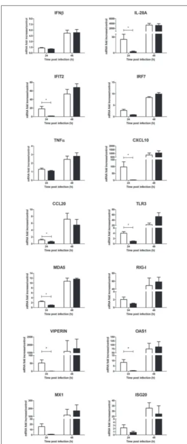 FIGURE 6 | Effect of 0.5 µg/L of Aedes aegypti saliva on the WNV-induced inflammatory response during human primary keratinocyte infection