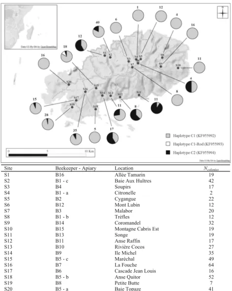 Figure 1. a Distribution of the mitochondrial sequences on the 20 sampled sites of Rodrigues