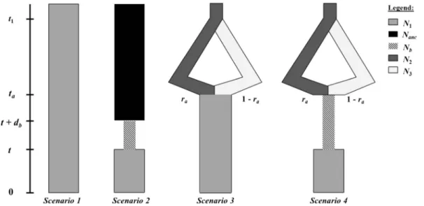 Figure 2. Schematic drawing of the four scenarios used for the ABC method.