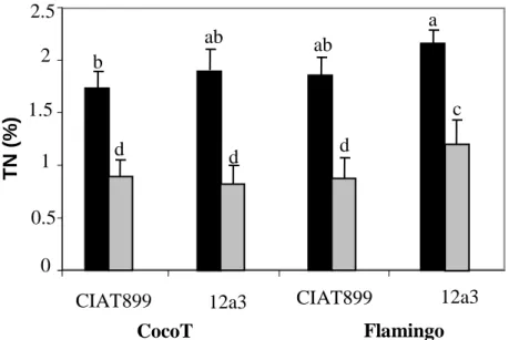 Figure  2. Effect  of  water stress  on  shoot  nitrogen  percentage  of  common  bean  genotypes  CocoT  and  Flamingo  inoculated  with  R