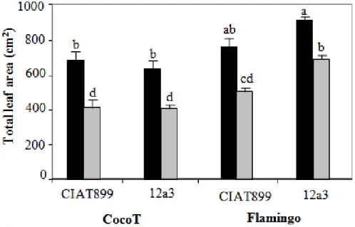 Figure  5.  Effect  of  water  stress  on  leaf  area  of  common  bean  genotypes  CocoT  and  Flamingo inoculated with R