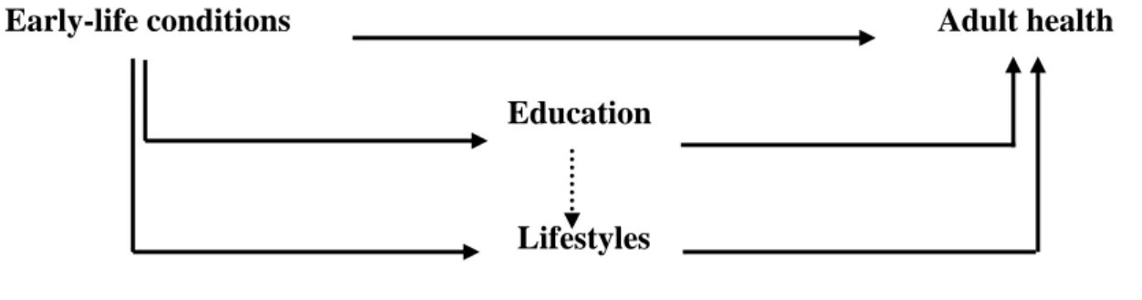 Fig. 1 Early-life conditions, socioeconomic factors, lifestyles and later-life health status 