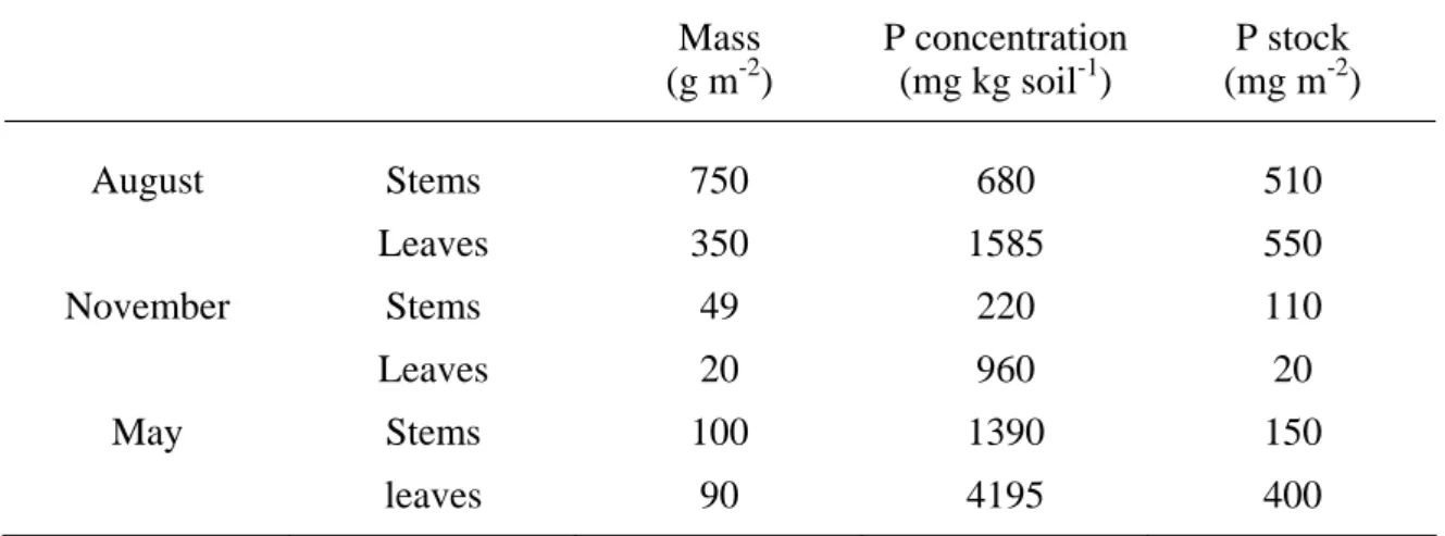 Table 3: Mass, P concentration and P stocks of stems and leaves of Solidago gigantea  at three dates