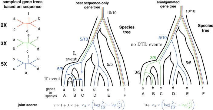 Fig. 1. CCPs can be used to estimate the posterior probability of any tree that can be amalgamated from clades present in a sample of gene trees (David and Alm, 2010; Ho¨hna and Drummond, 2012)