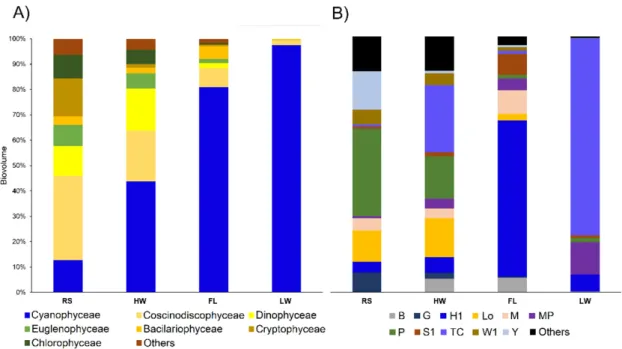 Figure 2. Relative phytoplankton class biomass (A) and functional groups biomass (B). Rising period  (RS), high-water period (HW), flushing period (FL), low-water period (LW), B–G–H1–Lo–M–MP–P–