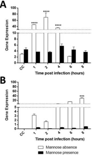 Figure 6.  Tupanvirus upregulates the expression of viral and cellular mannose binding protein (MBP) genes