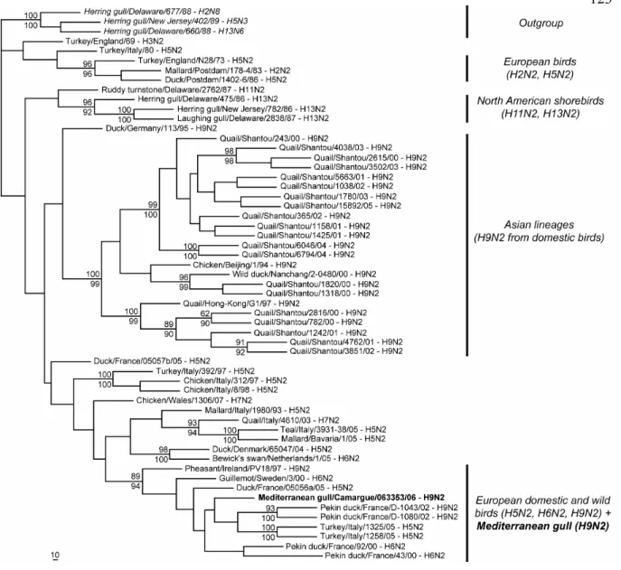 Figure 2.  ML consensus phylogram trees for the NA partial gene sequences, using the TN93+Γ (α=0.34) evolutionary model