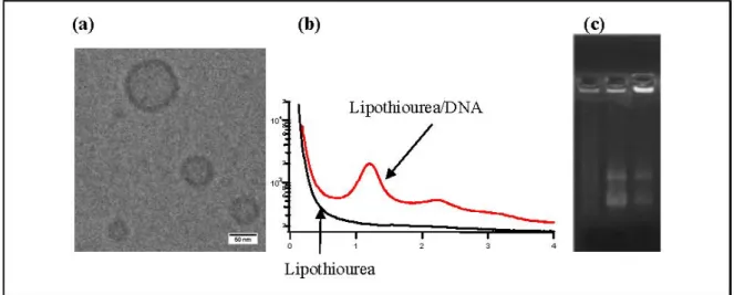 Figure 3.  (a) Transmission electronic cryo-microscopy of liposomes obtained from  compound  3
