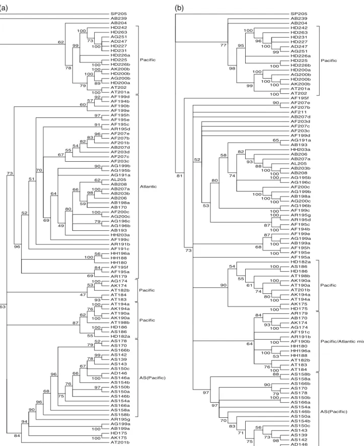 Figure 3. Neighbour-joining trees based on repeat region. (A) Tree I based on repeat region with repeat-like (RL) region
