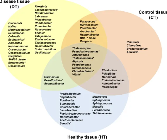 Figure 7 Venn diagram of bacterial genera showing their distributions in PorBBD-infected tissues (DT), healthy tissues (HT) and control tissue (CT)