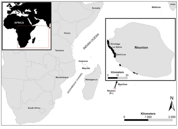 Figure 1 Study sites in Reunion Island. Map showing the study sites in Reunion Island, Western Indian Ocean.